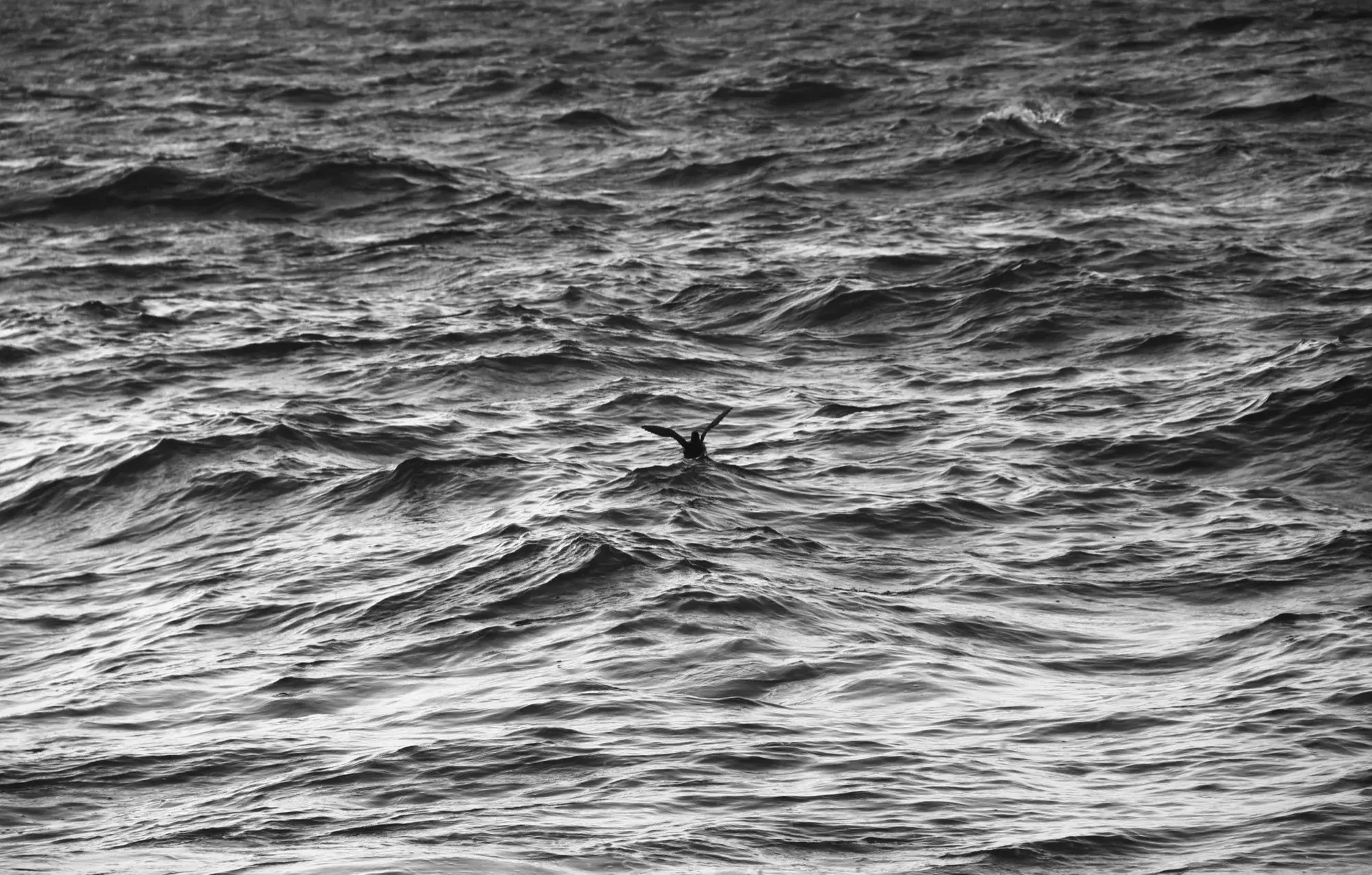 img-03